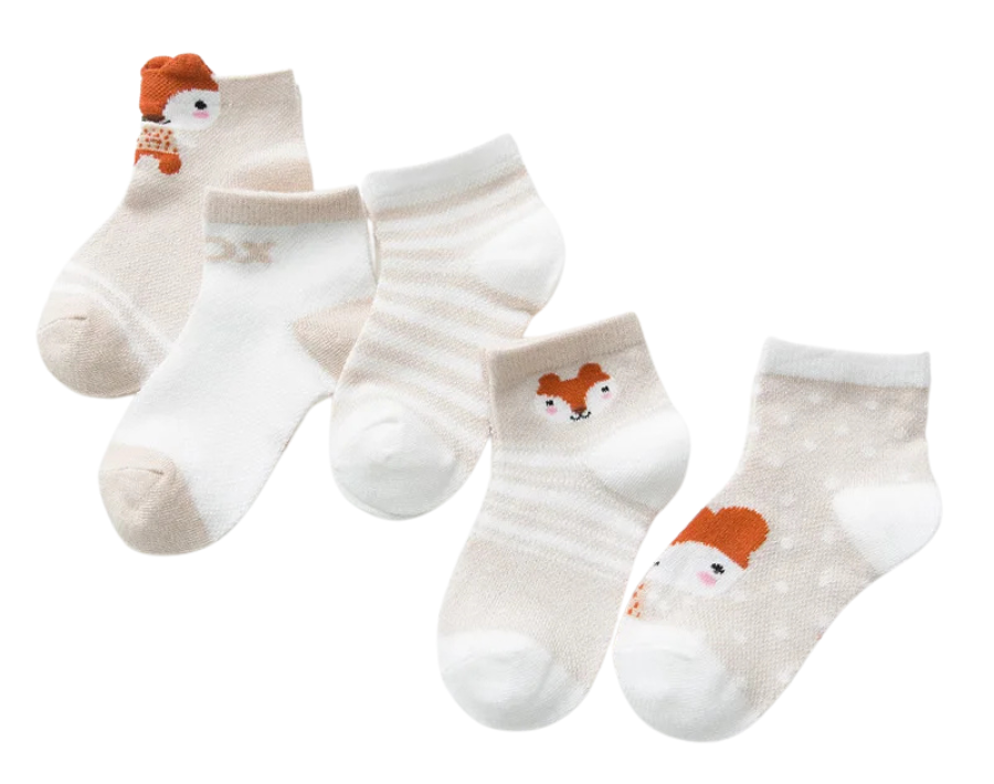 Lot de 5 paires de chaussette PetitsPasDouillets