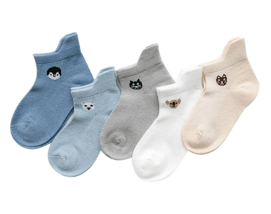 Lot de 5 paires de chaussette PetitsPasDouillets